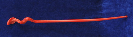 Teela Staff
